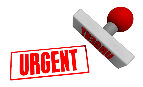 Urgent document translation services